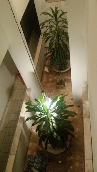 New Byblos Hotel Μπραζίλια Εξωτερικό φωτογραφία